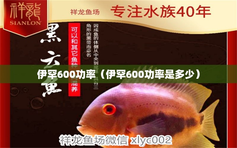 伊罕600功率（伊罕600功率是多少）