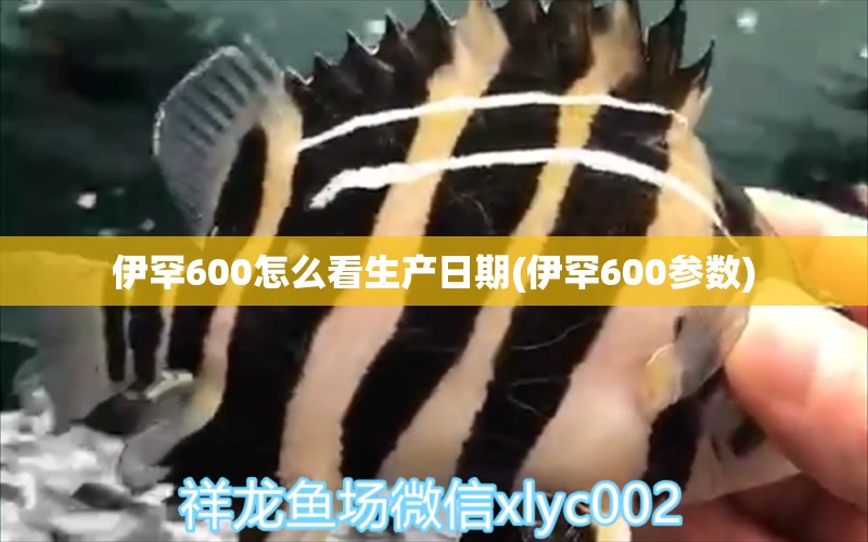 伊罕600怎么看生產(chǎn)日期(伊罕600參數(shù)) 伊罕水族