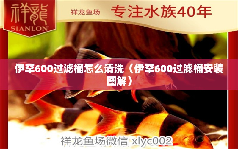 伊罕600過濾桶怎么清洗（伊罕600過濾桶安裝圖解）