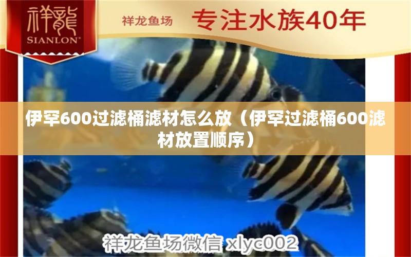 伊罕600過濾桶濾材怎么放（伊罕過濾桶600濾材放置順序） 伊罕水族