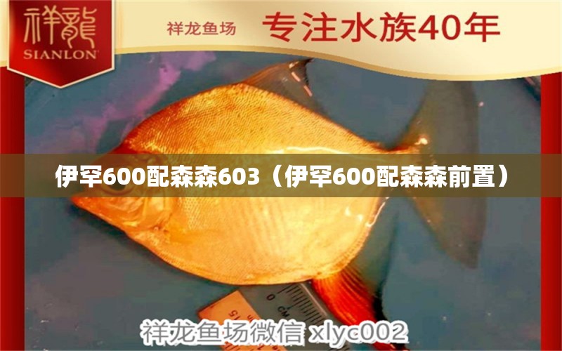 伊罕600配森森603（伊罕600配森森前置） 伊罕水族