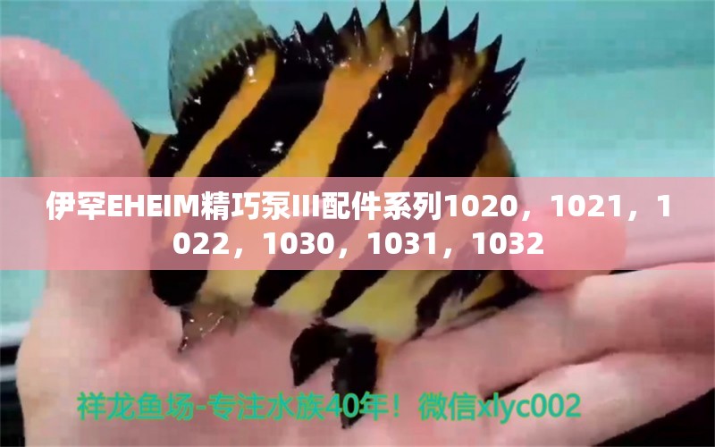 伊罕EHEIM精巧泵III配件系列1020，1021，1022，1030，1031，1032