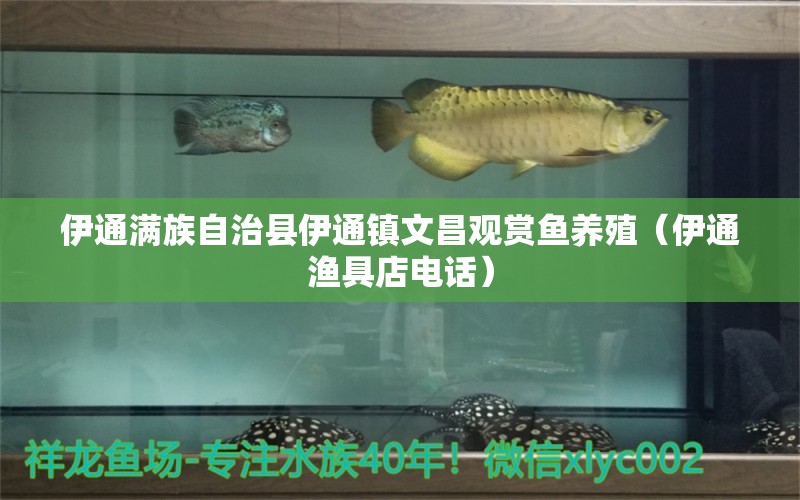 伊通滿族自治縣伊通鎮(zhèn)文昌觀賞魚養(yǎng)殖（伊通漁具店電話） 全國水族館企業(yè)名錄