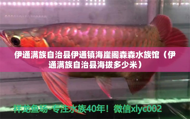 伊通滿族自治縣伊通鎮(zhèn)海崖閣森森水族館（伊通滿族自治縣海拔多少米）