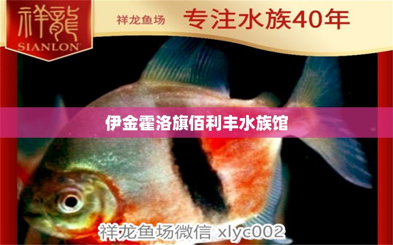 伊金霍洛旗佰利豐水族館 全國水族館企業(yè)名錄