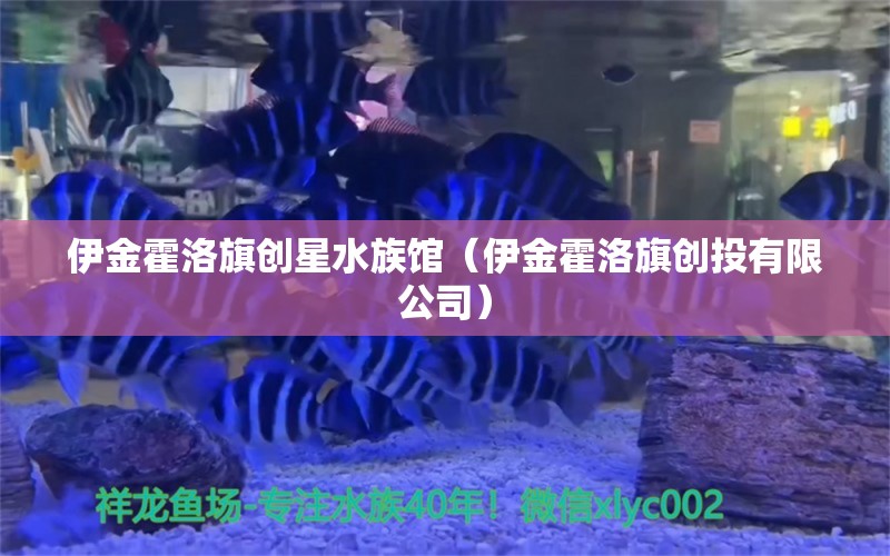 伊金霍洛旗創(chuàng)星水族館（伊金霍洛旗創(chuàng)投有限公司）