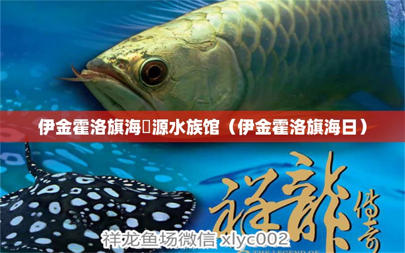 伊金霍洛旗海湜源水族館（伊金霍洛旗海日） 全國水族館企業(yè)名錄