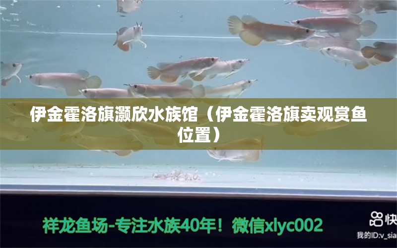 伊金霍洛旗灝欣水族館（伊金霍洛旗賣觀賞魚位置）