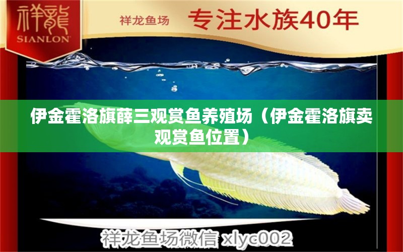 伊金霍洛旗薛三觀賞魚養(yǎng)殖場（伊金霍洛旗賣觀賞魚位置）