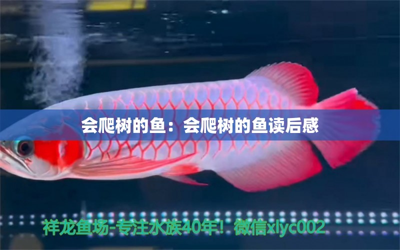 會(huì)爬樹(shù)的魚(yú)：會(huì)爬樹(shù)的魚(yú)讀后感