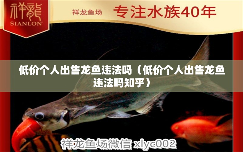 低價(jià)個(gè)人出售龍魚違法嗎（低價(jià)個(gè)人出售龍魚違法嗎知乎）