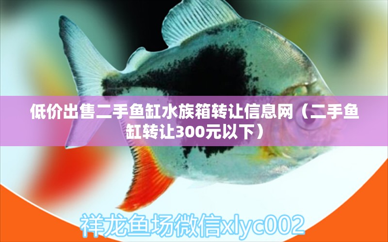 低價出售二手魚缸水族箱轉(zhuǎn)讓信息網(wǎng)（二手魚缸轉(zhuǎn)讓300元以下） 魚缸/水族箱