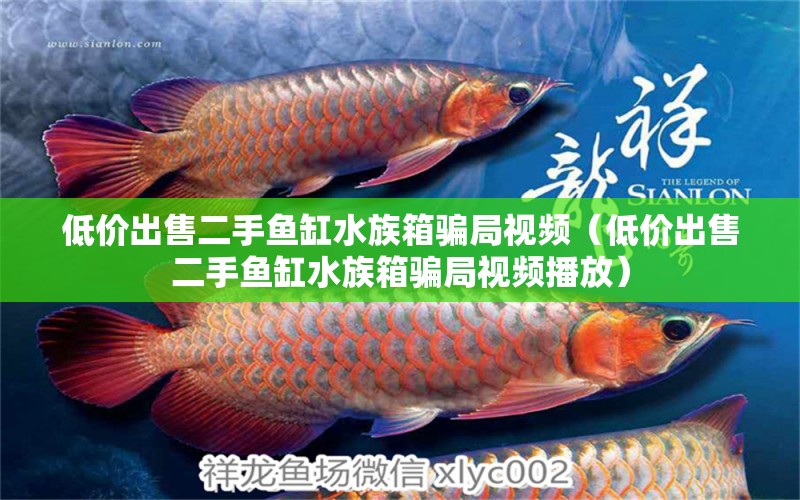 低價出售二手魚缸水族箱騙局視頻（低價出售二手魚缸水族箱騙局視頻播放） 魚缸/水族箱