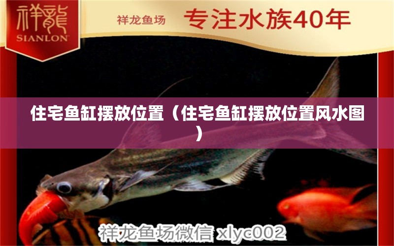 住宅魚缸擺放位置（住宅魚缸擺放位置風水圖） 魚缸風水