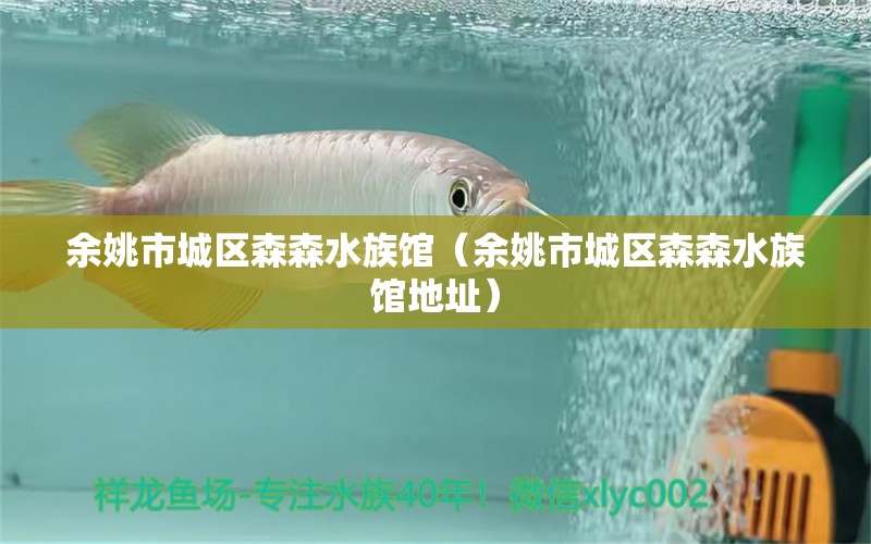 余姚市城區(qū)森森水族館（余姚市城區(qū)森森水族館地址）