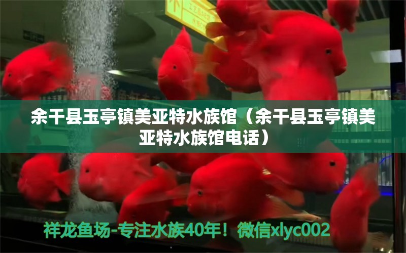 余干縣玉亭鎮(zhèn)美亞特水族館（余干縣玉亭鎮(zhèn)美亞特水族館電話）