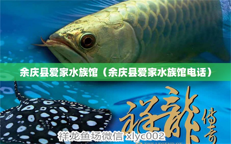 余慶縣愛家水族館（余慶縣愛家水族館電話） 全國水族館企業(yè)名錄