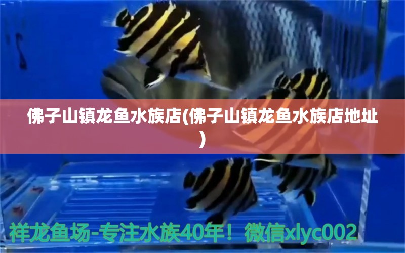 佛子山鎮(zhèn)龍魚(yú)水族店(佛子山鎮(zhèn)龍魚(yú)水族店地址) 水溫計(jì) 第1張