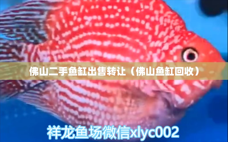 佛山二手魚缸出售轉(zhuǎn)讓（佛山魚缸回收）