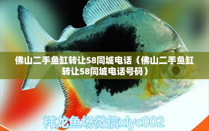 佛山二手魚缸轉(zhuǎn)讓58同城電話（佛山二手魚缸轉(zhuǎn)讓58同城電話號碼）