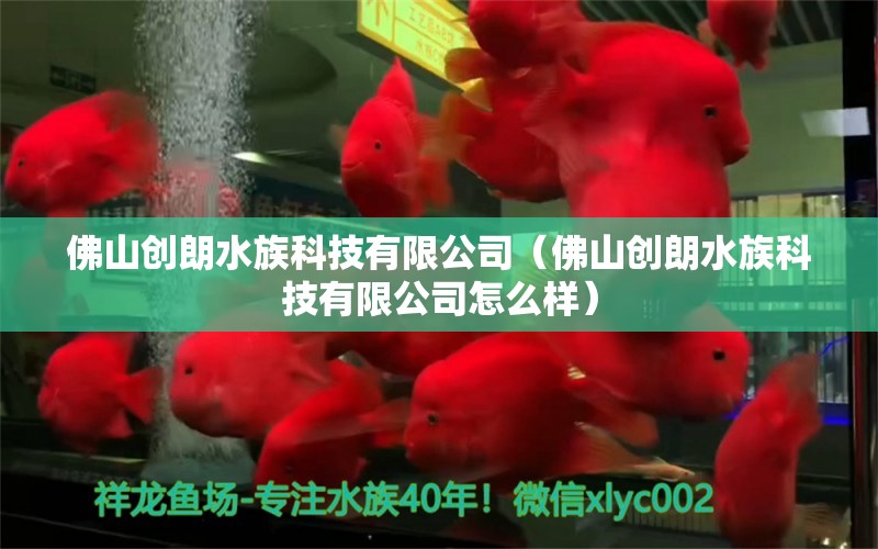 佛山創(chuàng)朗水族科技有限公司（佛山創(chuàng)朗水族科技有限公司怎么樣）