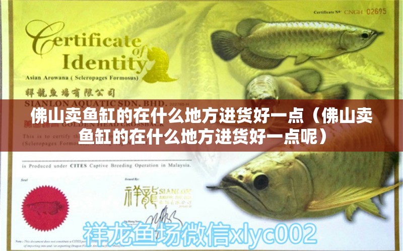 佛山賣(mài)魚(yú)缸的在什么地方進(jìn)貨好一點(diǎn)（佛山賣(mài)魚(yú)缸的在什么地方進(jìn)貨好一點(diǎn)呢）