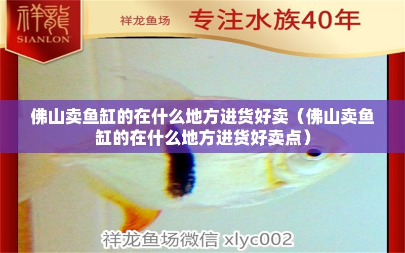 佛山賣魚缸的在什么地方進貨好賣（佛山賣魚缸的在什么地方進貨好賣點）