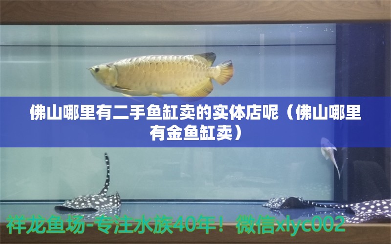 佛山哪里有二手魚缸賣的實體店呢（佛山哪里有金魚缸賣）