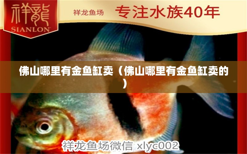 佛山哪里有金魚缸賣（佛山哪里有金魚缸賣的） 其他品牌魚缸