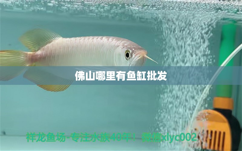 佛山哪里有魚缸批發(fā)