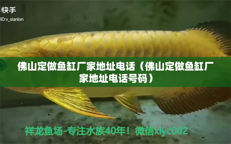 佛山定做魚(yú)缸廠家地址電話（佛山定做魚(yú)缸廠家地址電話號(hào)碼） 祥龍魚(yú)場(chǎng)