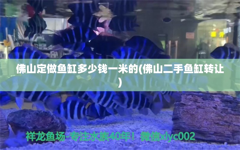 佛山定做魚缸多少錢一米的(佛山二手魚缸轉(zhuǎn)讓) 印尼虎苗