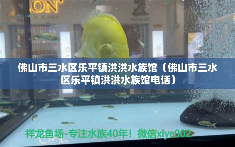 佛山市三水區(qū)樂平鎮(zhèn)洪洪水族館（佛山市三水區(qū)樂平鎮(zhèn)洪洪水族館電話）