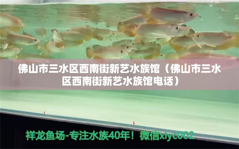 佛山市三水區(qū)西南街新藝水族館（佛山市三水區(qū)西南街新藝水族館電話） 全國水族館企業(yè)名錄