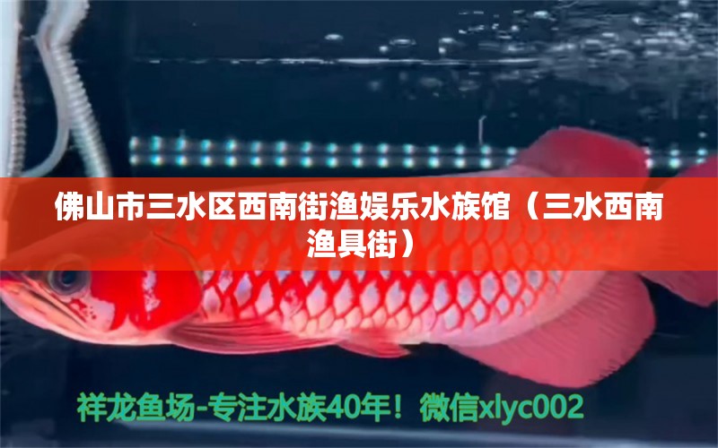 佛山市三水區(qū)西南街漁娛樂水族館（三水西南漁具街）