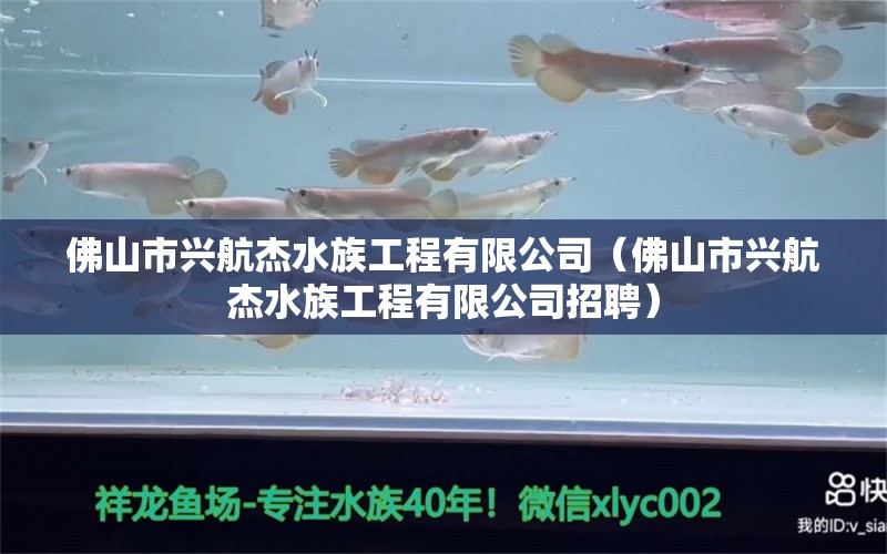 佛山市興航杰水族工程有限公司（佛山市興航杰水族工程有限公司招聘） 全國(guó)水族館企業(yè)名錄