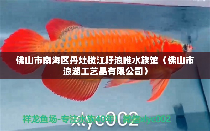 佛山市南海區(qū)丹灶橫江圩浪唯水族館（佛山市浪湖工藝品有限公司）