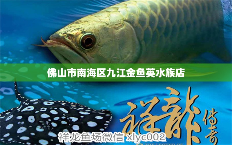 佛山市南海區(qū)九江金魚英水族店 全國水族館企業(yè)名錄