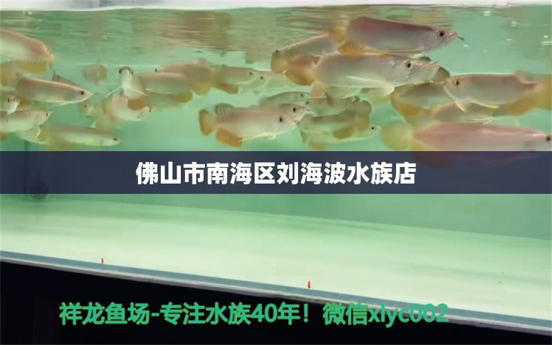 佛山市南海區(qū)劉海波水族店 全國水族館企業(yè)名錄