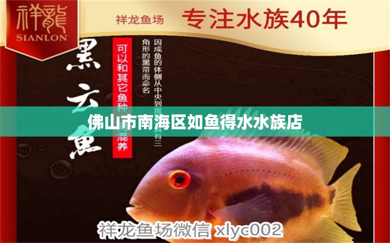 佛山市南海區(qū)如魚(yú)得水水族店 全國(guó)水族館企業(yè)名錄