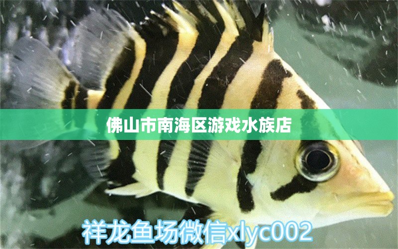 佛山市南海區(qū)游戲水族店 全國水族館企業(yè)名錄