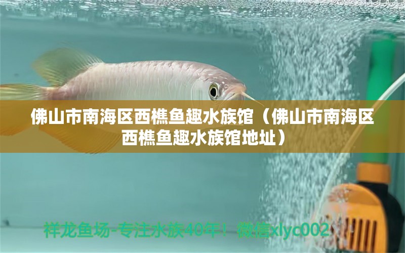 佛山市南海區(qū)西樵魚趣水族館（佛山市南海區(qū)西樵魚趣水族館地址）