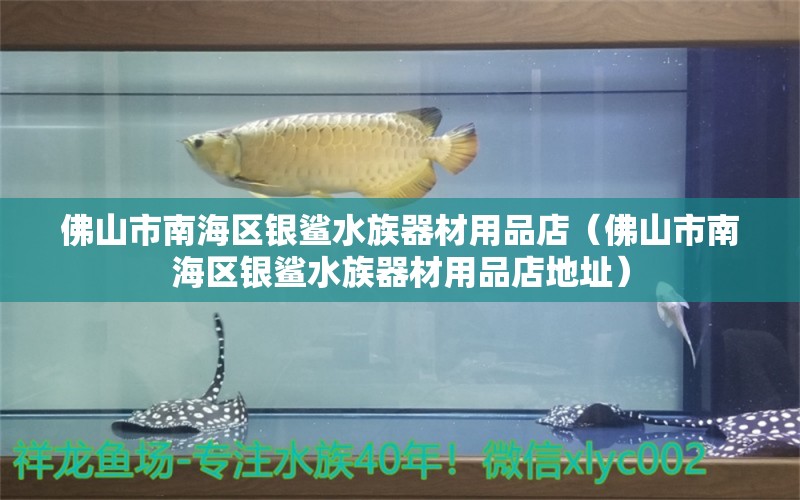 佛山市南海區(qū)銀鯊水族器材用品店（佛山市南海區(qū)銀鯊水族器材用品店地址）