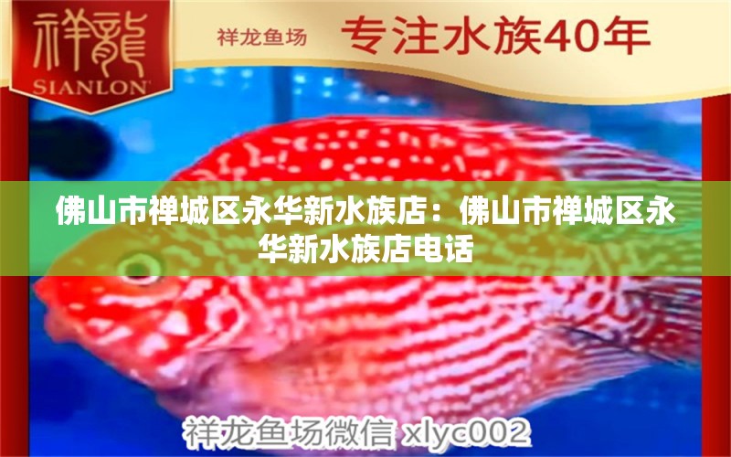 佛山市禪城區(qū)永華新水族店：佛山市禪城區(qū)永華新水族店電話 全國水族館企業(yè)名錄