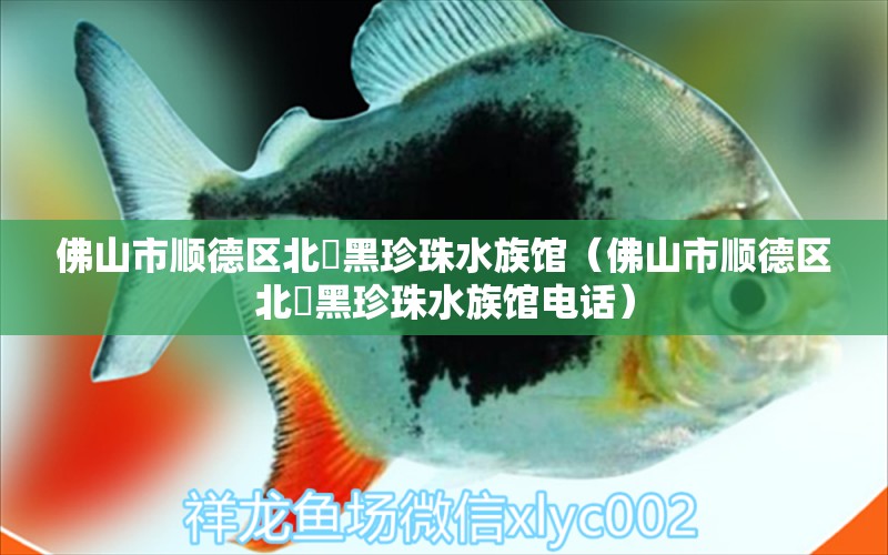 佛山市順德區(qū)北滘黑珍珠水族館（佛山市順德區(qū)北滘黑珍珠水族館電話(huà)） 全國(guó)水族館企業(yè)名錄