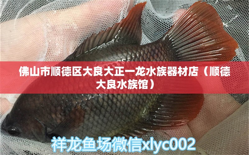 佛山市順德區(qū)大良大正一龍水族器材店（順德大良水族館） 全國水族館企業(yè)名錄