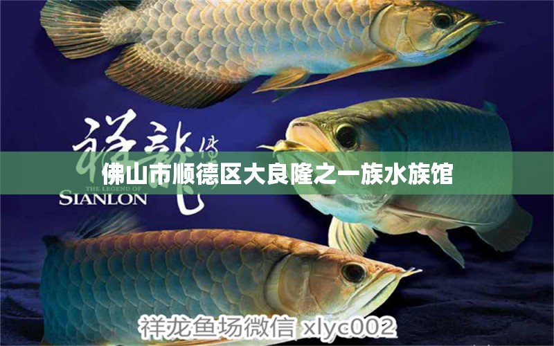 佛山市順德區(qū)大良隆之一族水族館