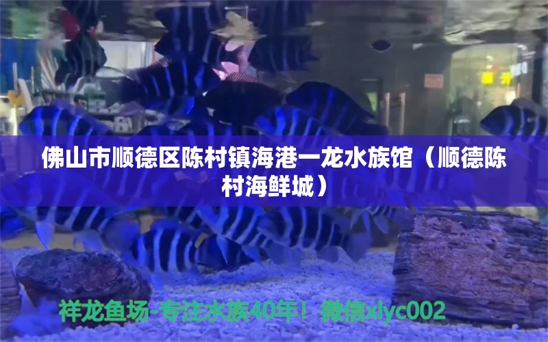 佛山市順德區(qū)陳村鎮(zhèn)海港一龍水族館（順德陳村海鮮城）