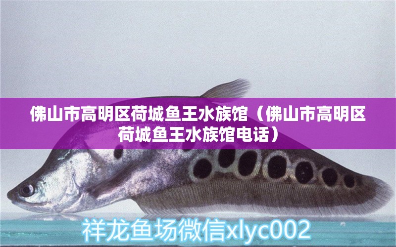 佛山市高明區(qū)荷城魚王水族館（佛山市高明區(qū)荷城魚王水族館電話）