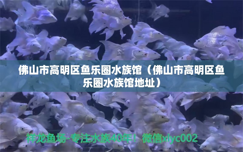 佛山市高明區(qū)魚(yú)樂(lè)圈水族館（佛山市高明區(qū)魚(yú)樂(lè)圈水族館地址）